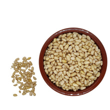 Φόρτωση εικόνας στο εργαλείο προβολής Συλλογής, Κουκουνάρι